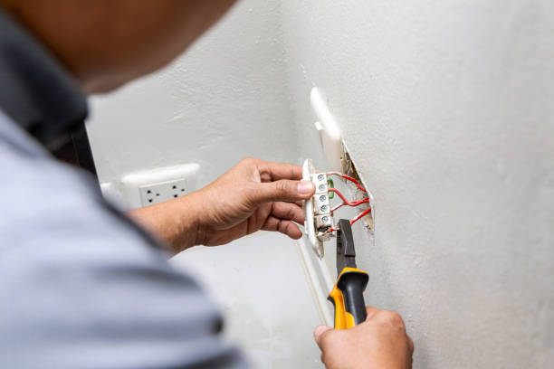 Best Electric Panel Repair  in Tylertown, MS